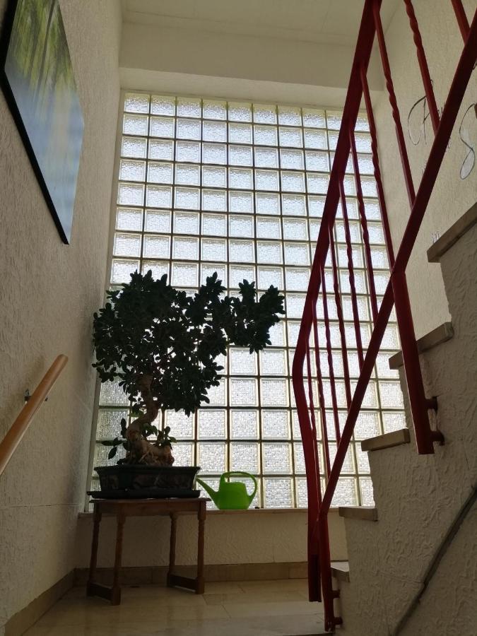 Ferienhaus Elwetritsche In Landau/Pfalz Landau in der Pfalz Kültér fotó